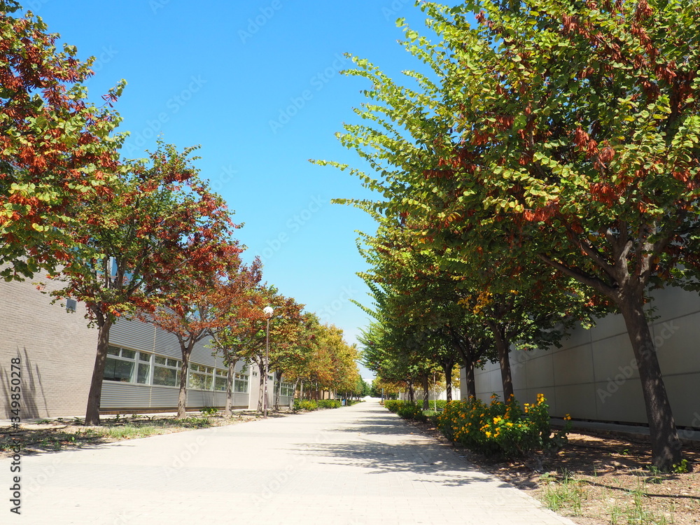 Naklejka premium OLYMPUS DIGITAL CAMERA