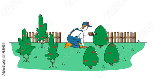 Worker Male Character Trimming Bush in Garden. Man Cut Hedge in Orchard Doing Gardener Works Prune Shrub with Scissors. Cottager Occupation, Summer Yardwork Maintenance. Linear Vector Illustration