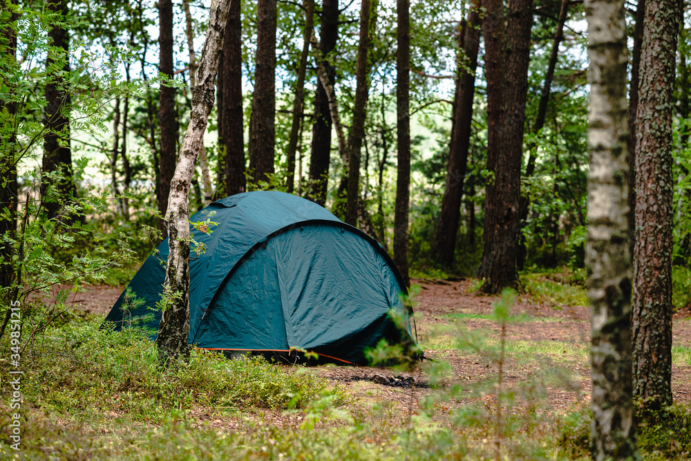 hiking travel life style passion concept picture of tent camp side place in forest moody nature environment green foliage and ground with hand made stone trail