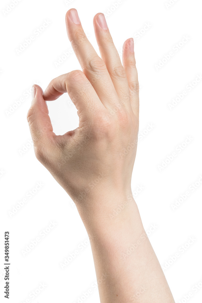 Obraz premium Male hand show OK sign, isolated with clipping path on white background