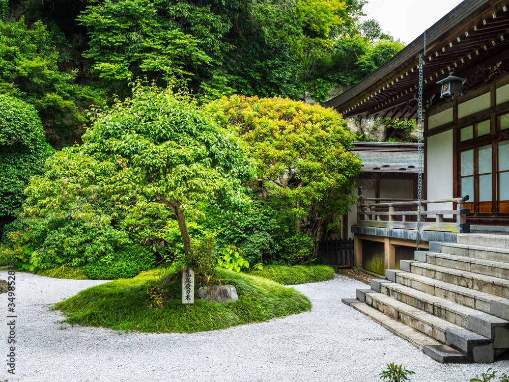 Beautiful little Japanese garden in Kamakura - TOKYO / JAPAN - JUNE 17, 2018
