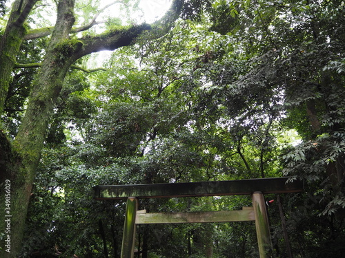 雨上がりの熱田神宮の木の鳥居（愛知県名古屋市）
