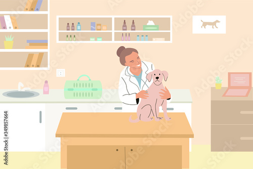 A veterinarian treats a pet. Veterinary clinic, health service, or medical center for pets. Flat cartoon colorful vector illustration.