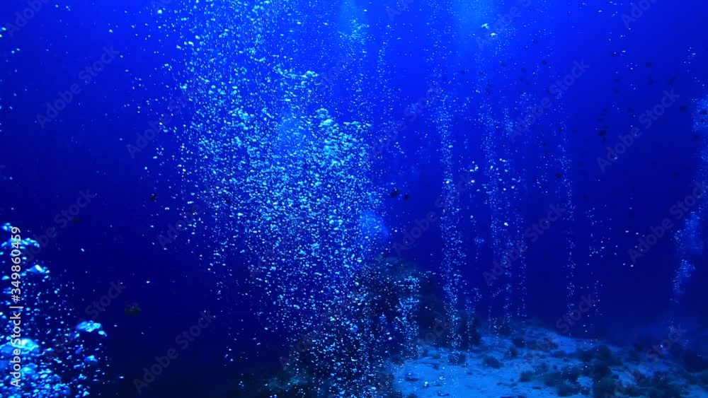 underwater video background depth reef, coral reef in the warm sea underwater video background depth reef, coral reef in the warm sea