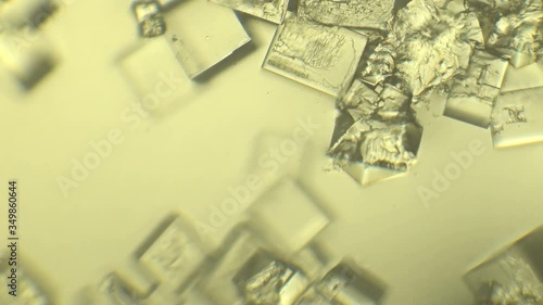 Many crystals in the drop under microscope. Crystallography and scientific research concept. 