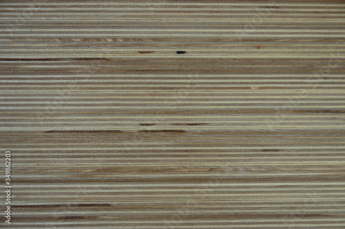 plywood end face texture for background