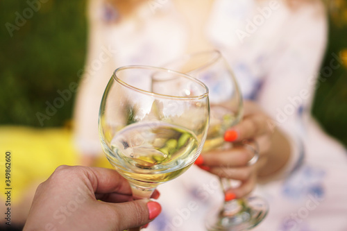 Women clinking glasses with tasty wine on light background at summer day