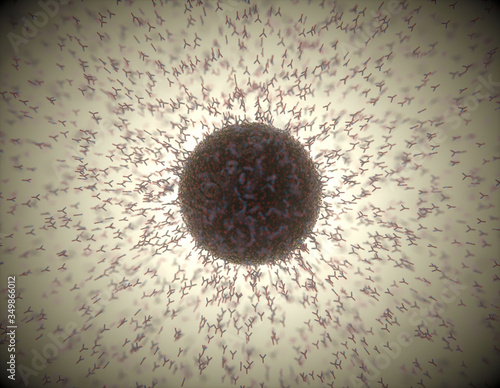 Immunological system, antibodies attacking the virus covid-19. 3D illustration, concept of the body's defense system. Y-shaped antibody attacking the coronavirus. photo