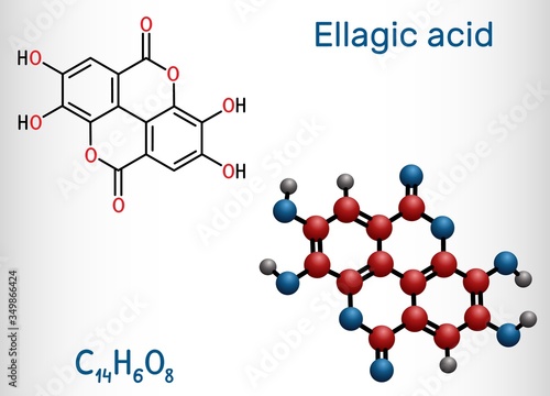 Ellagic acid, C14H6O8 molecule. It is natural phenol antioxidant, dietary supplement. Structural chemical formula and molecule model. Vector illustration