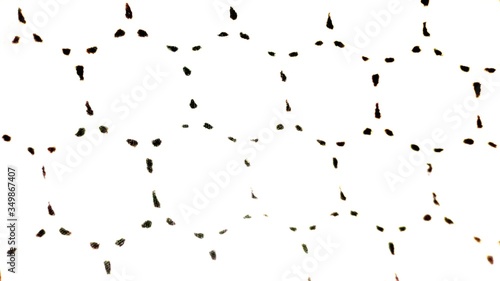 ink splat background