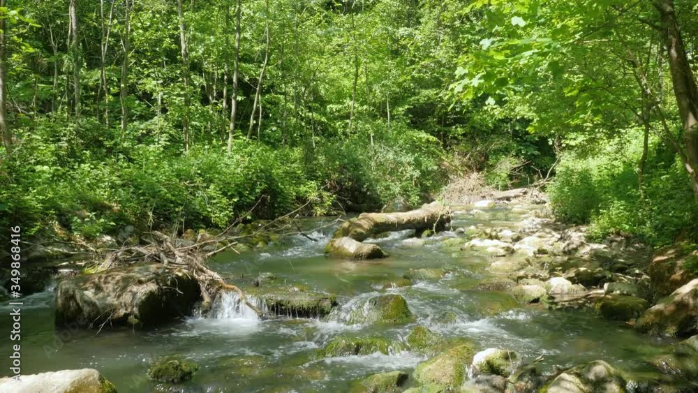 Stream in the forest, shot with camera crane, with sound of the stream Stream in the forest, shot with camera crane, with sound of the stream