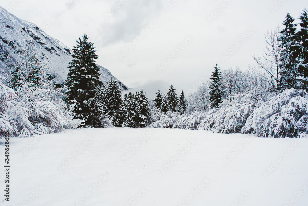 Winter landascape with snow, tree, forest, wood
