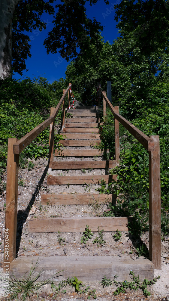 View in spring, of a wooden staircase in the middle of nature.