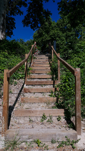 View in spring  of a wooden staircase in the middle of nature.