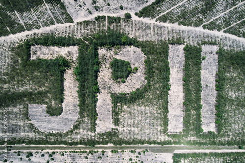 John Paul 2 sign made from trees aerial drone photo photo