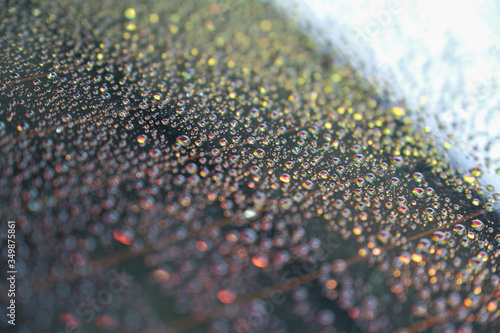 Water droplets on the windscreen after washing the car and abstract and blurred water droplets background