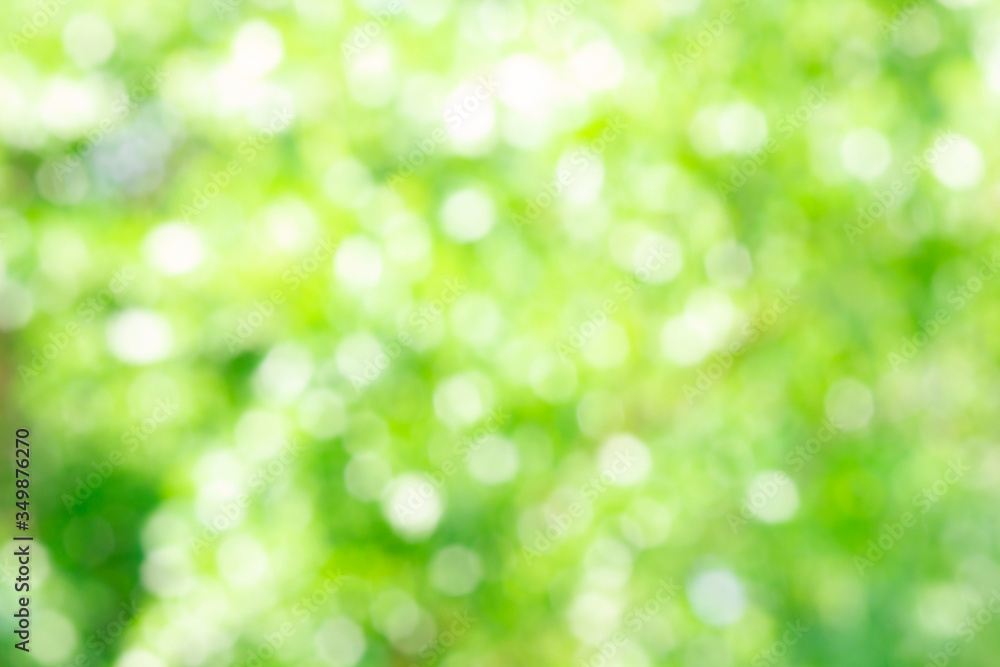 Abstract blurred nature green bokeh background.