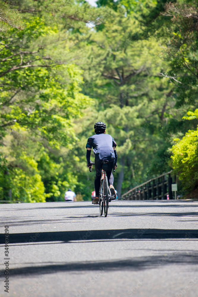 夏の公園で自転車を乗っている人 夏の公園で自転車を乗っている人