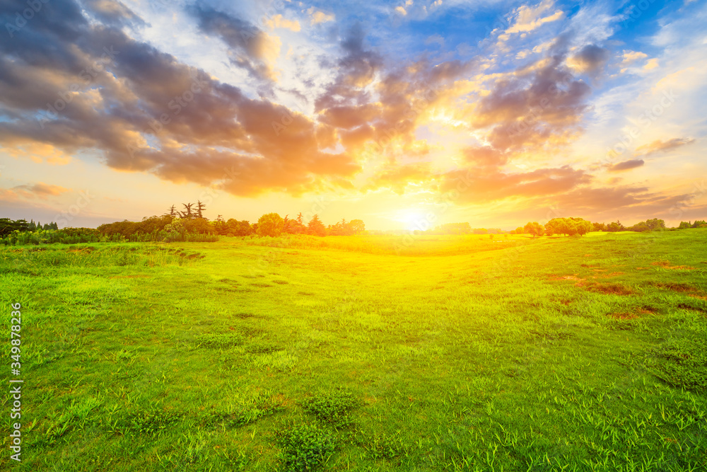 Green grass and beautiful sky clouds at sunset.