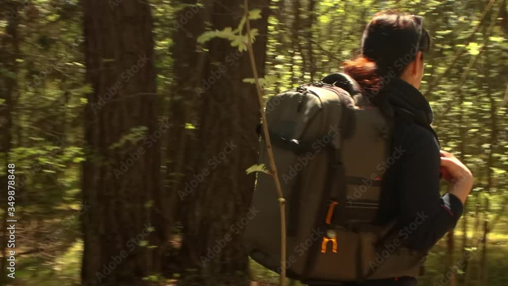 Hiking woman walk with a hiking backpack in spring green forest Hiking woman walk with a hiking backpack in spring green forest