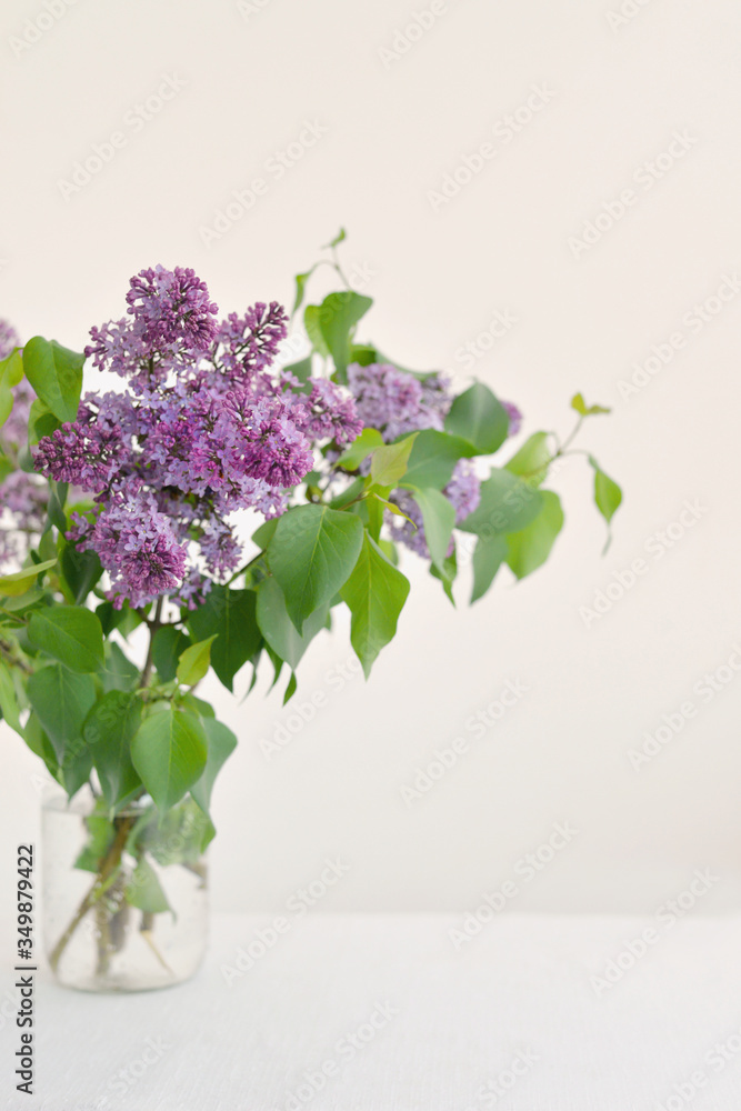 Lilac bouquet in glass jar on the white background