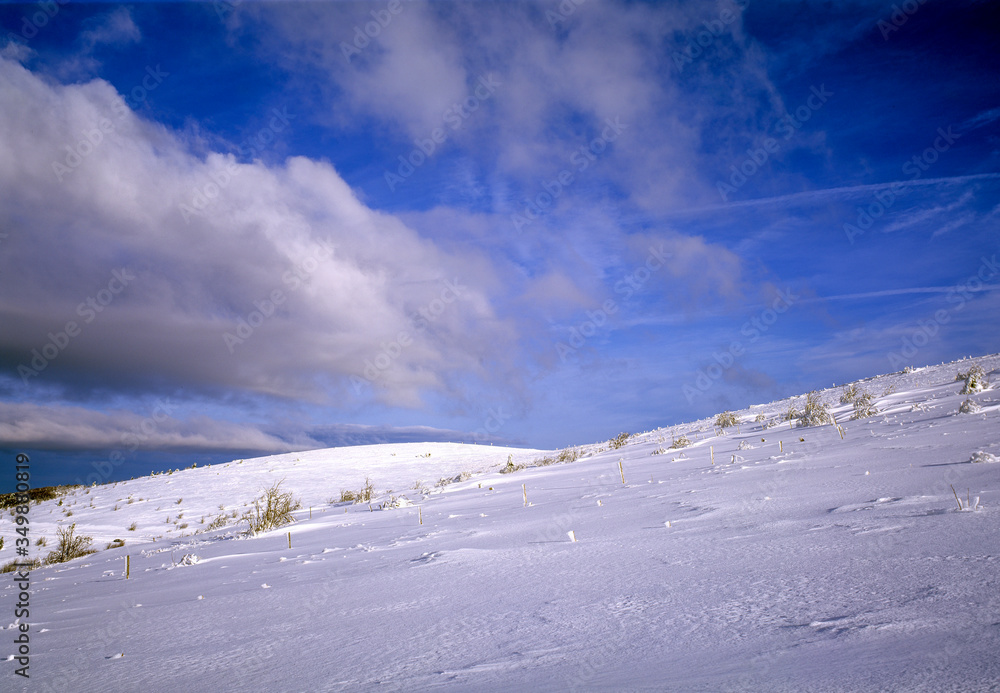 Paysage d'hiver dans les montagnes vosgiennes en France