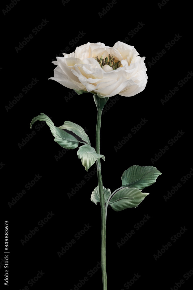 Artificial white rose on black background Artificial white rose on black background