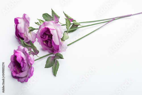 Artificial purple roses on white background