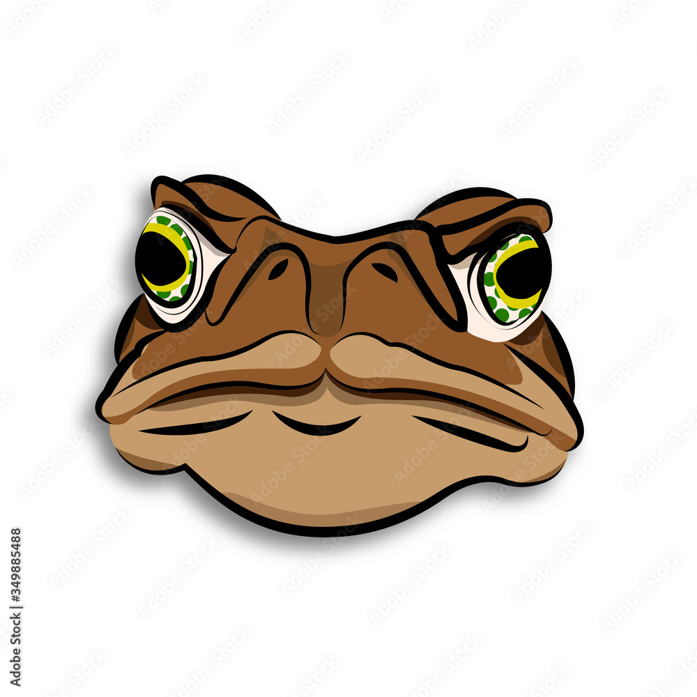Fototapeta premium Angry toad