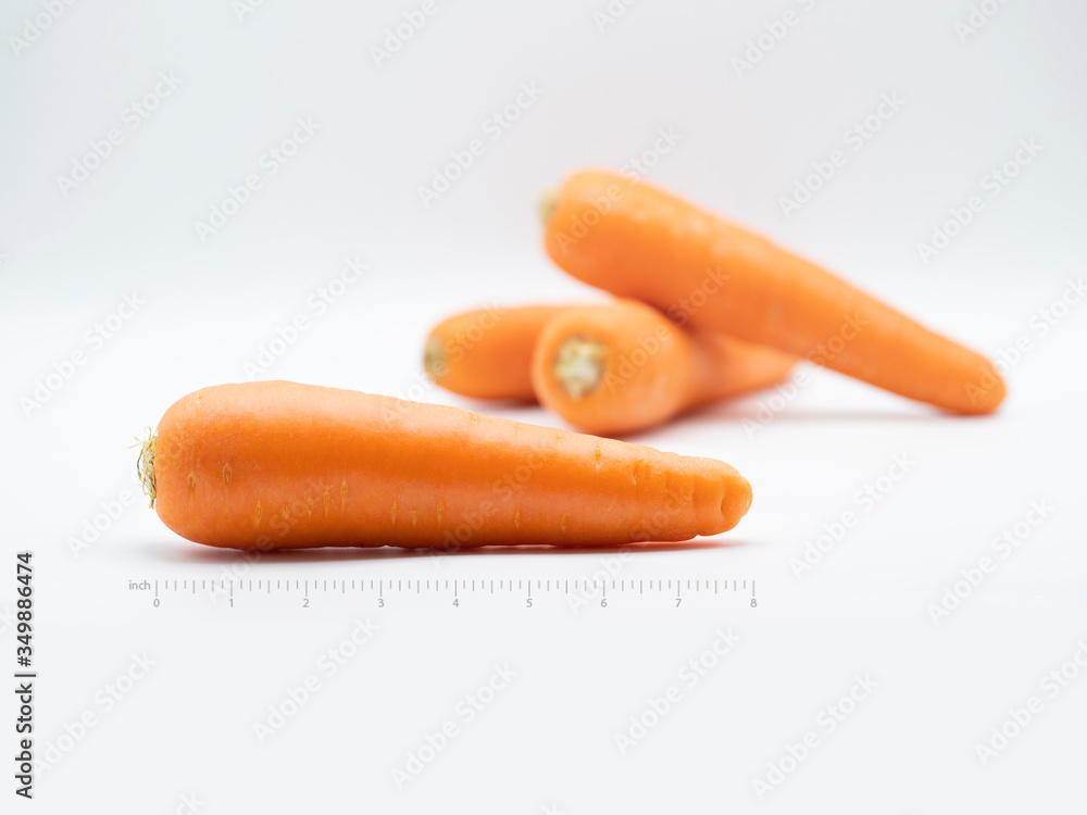 Carrot from market on white background with ruler scale. It is an ingredient for savoury, dessert, beverage. Salad, soup, cake, smoothie and many dish that can made by carrot and good for health. Carrot from market on white background with ruler scale. It is an ingredient for savoury, dessert, beverage. Salad, soup, cake, smoothie and many dish that can made by carrot and good for health.