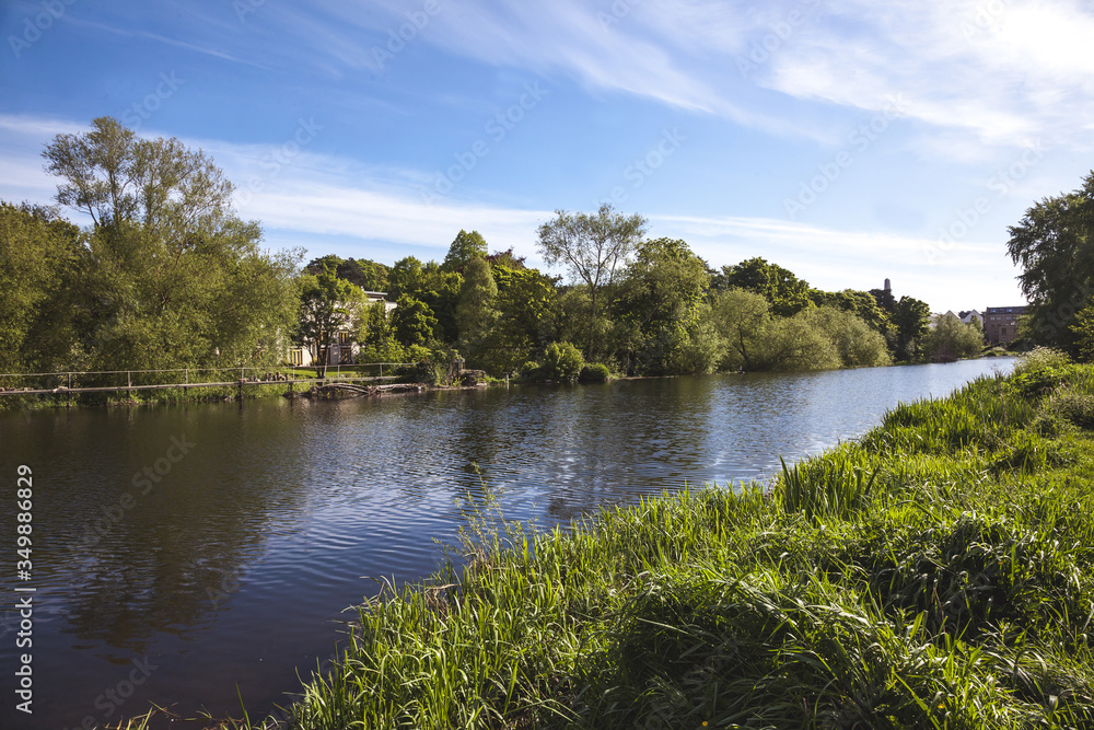 river in a park