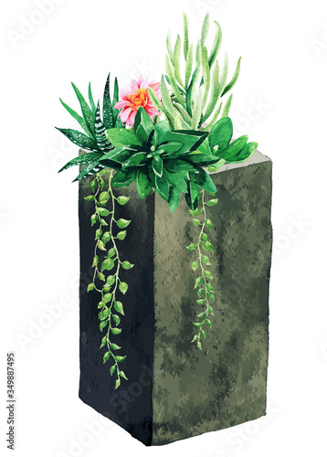 Bright watercolor succulents in concrete vertical pot, hand drawn
