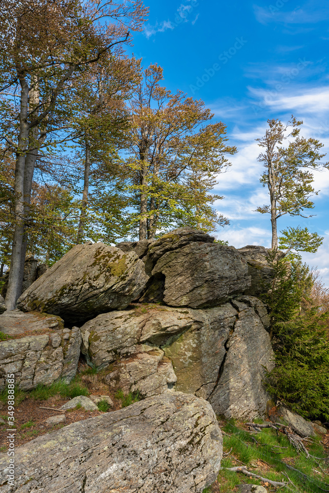 Wandern zum Turm am Hirschenstein im Bayerischen Wald Wandern zum Turm am Hirschenstein im Bayerischen Wald