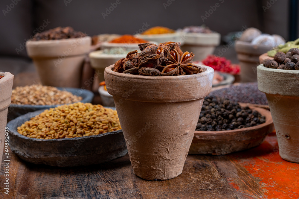 Indian spices collection, dried colorful condiment, nuts, pods and seeds and another spices in clay bowls