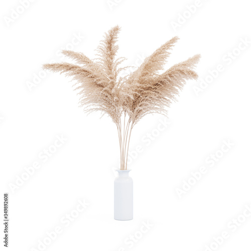 Pampas grass white vase