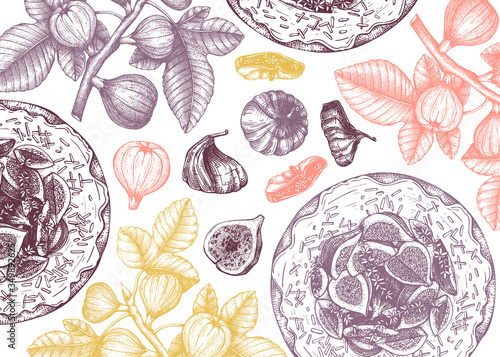 Vector background with hand-drawn fig fruits. Vintage banner with fig branches, fresh and dries fruits, baking cakes. 