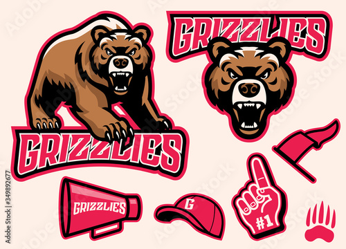 set of brown bear mascot