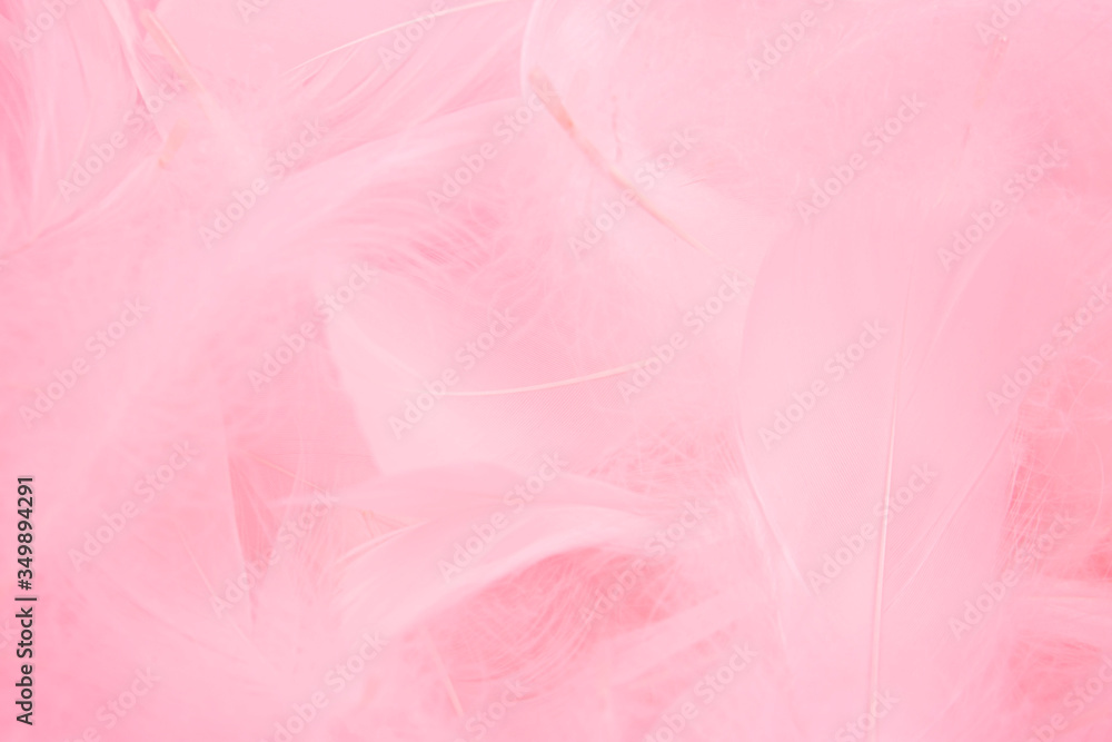Obraz premium pink feathers background. soft fluffy feather 