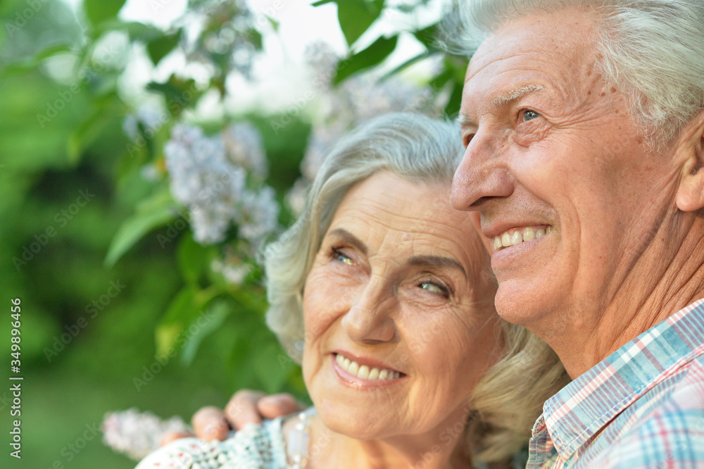 Portrait of beautiful senior couple posing in the summer park Portrait of beautiful senior couple posing in the summer park