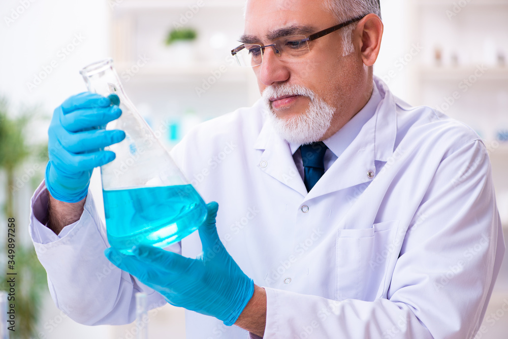 Fototapeta premium Old male chemist working in the lab