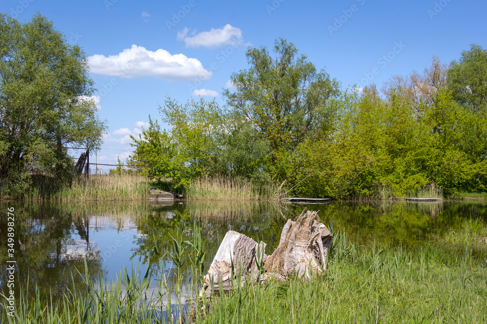 Spring in Havelland, Brandenburg. View of the river Havel and an old pasture.