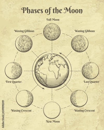 Vintage astrology moon phases