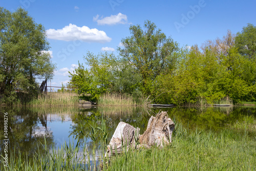 Obraz na płótnie Spring in Havelland, Brandenburg. View of the river Havel and an old pasture. w salonie