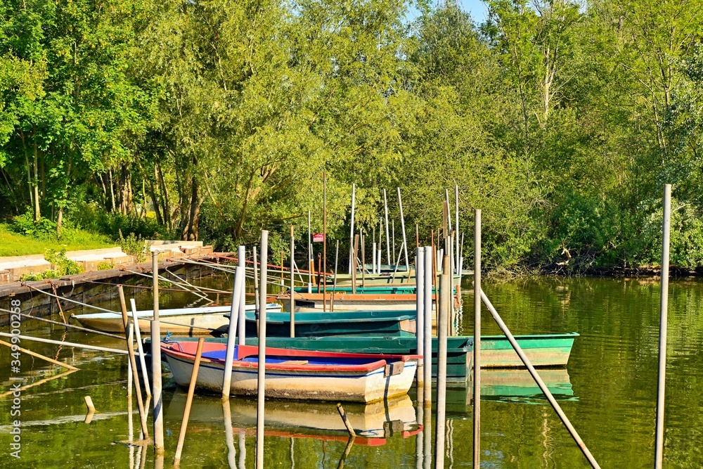 Fototapeta premium Narques