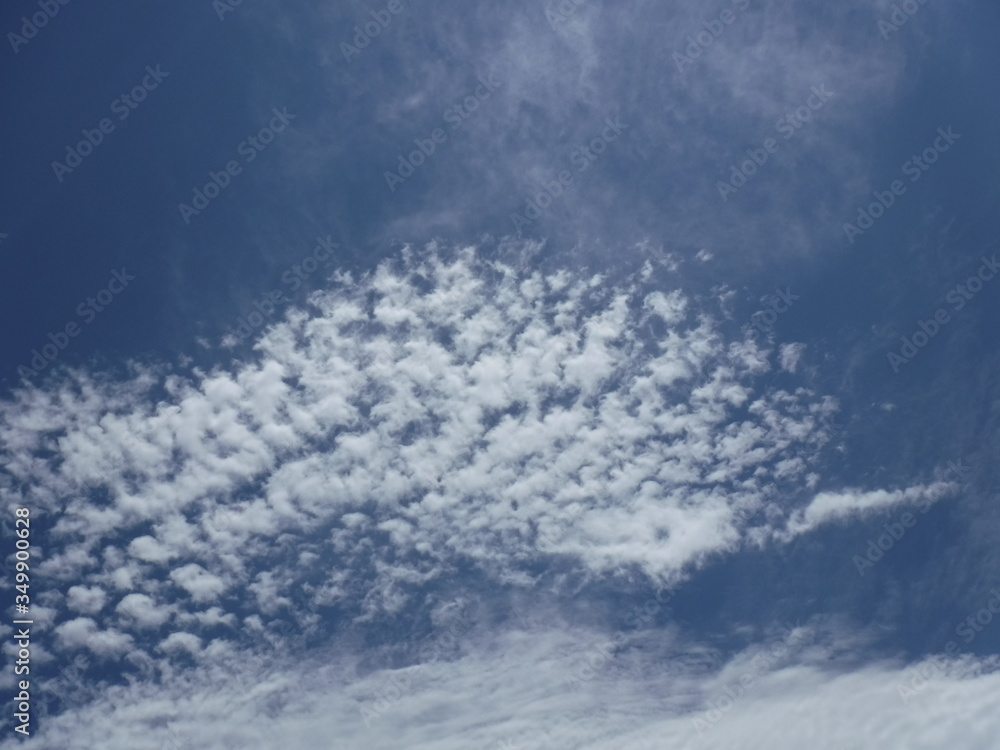 Fototapeta premium Sheep cloud ～羊雲