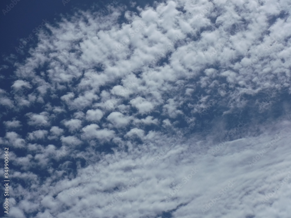 Sheep cloud ~羊雲 Sheep cloud ~羊雲