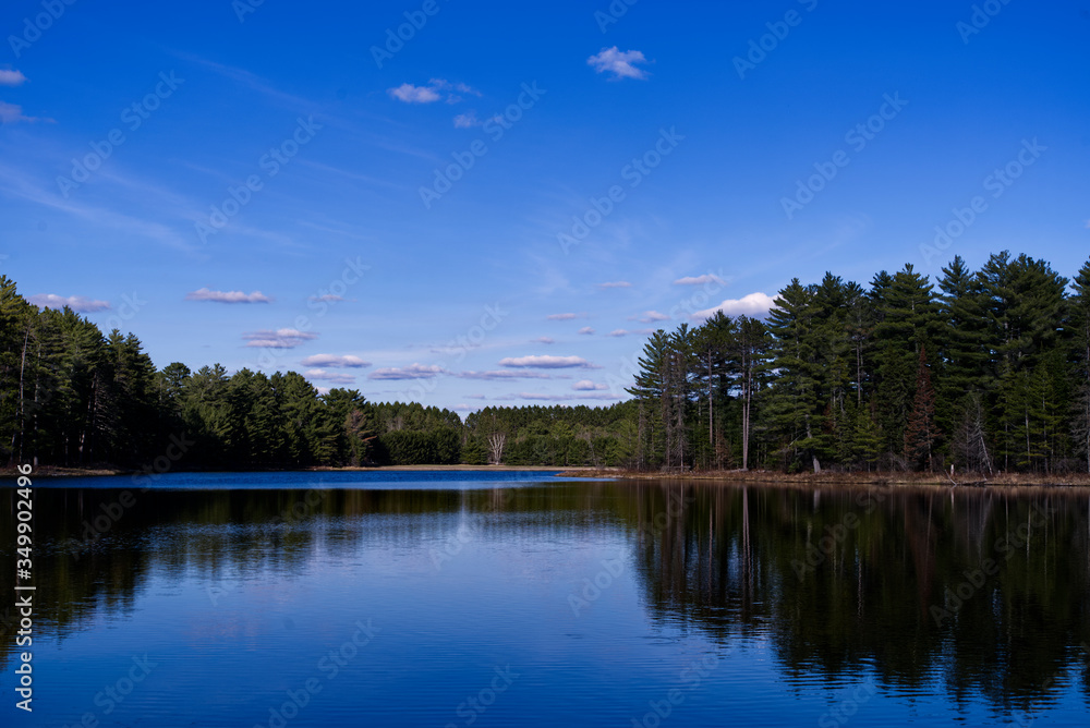 Beautiful lake on a sunny spring day