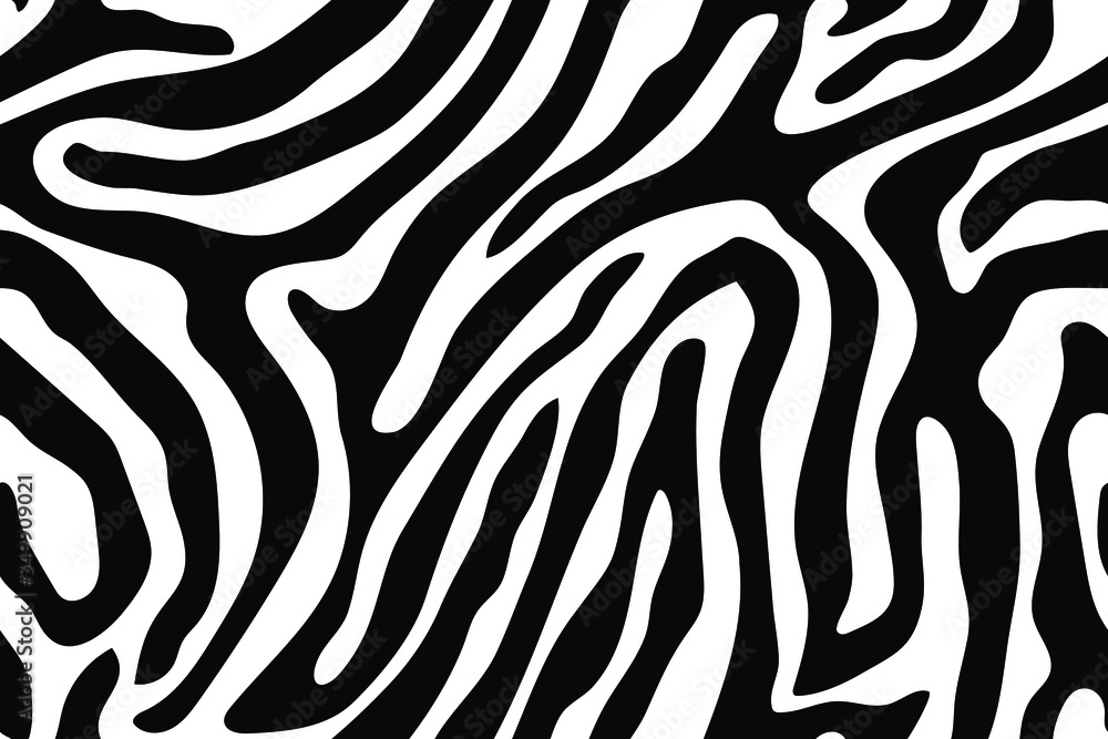 Zebra skin, stripe pattern, vector illustration. Animal print, black and white detailed and realistic texture. Monochrome seamless background