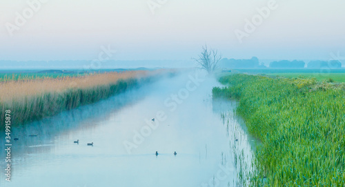 Misty canal in an agricultural field below a blue yellow sky in sunlight at a foggy sunrise in a spring morning