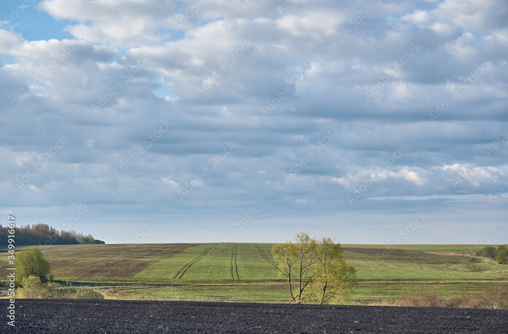 Landscape with spring agricultural fields